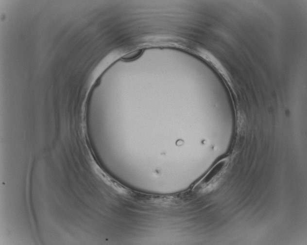 X0000071771386200607211521