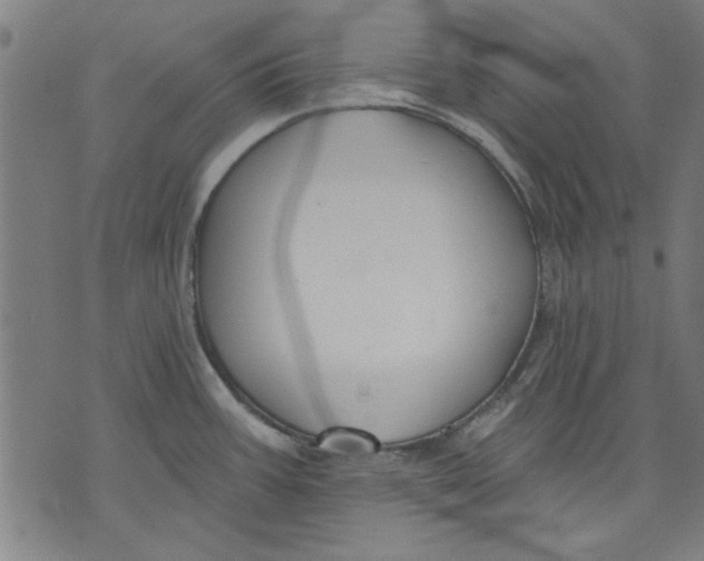 X0000071771387200607211521