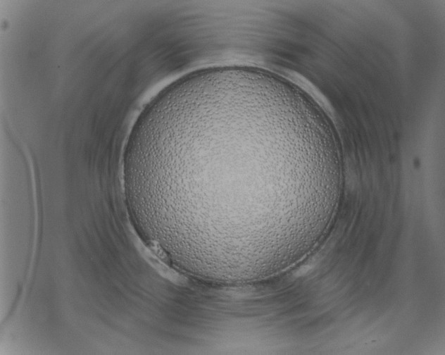 X0000071771388200607211521