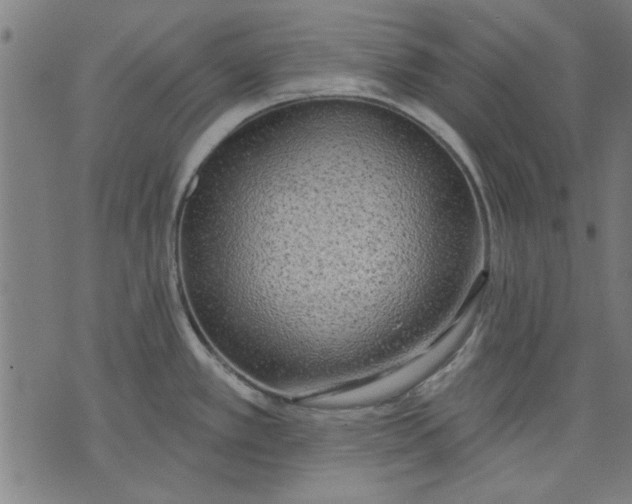 X0000071771389200607211521