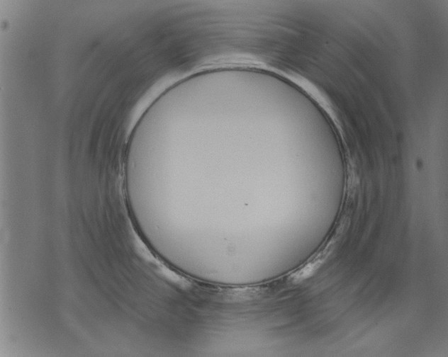 X0000071771390200607211521