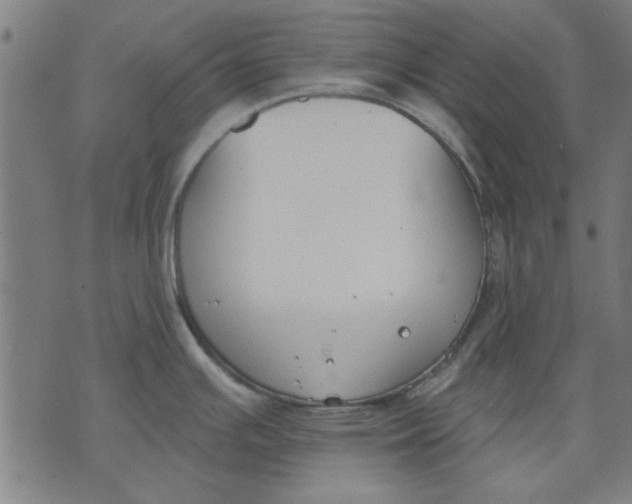 X0000071771391200607211521