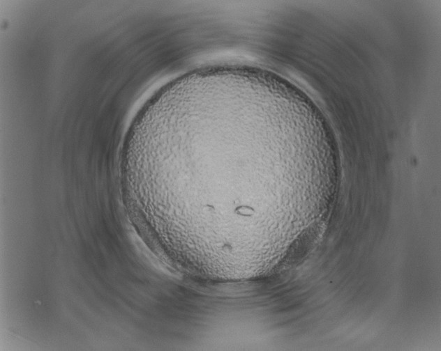 X0000071771392200607211521