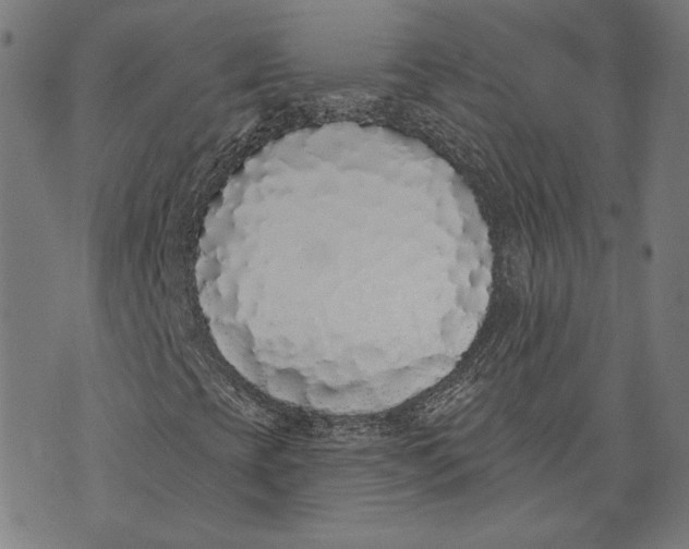 X0000071771393200607211520