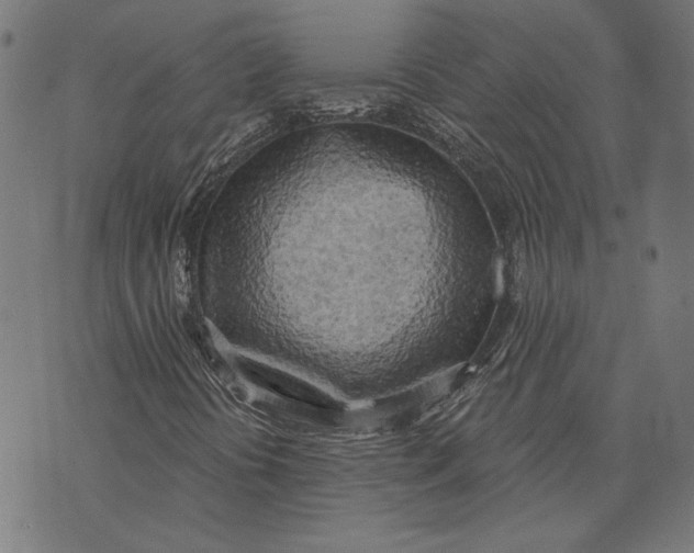 X0000071771394200607211520