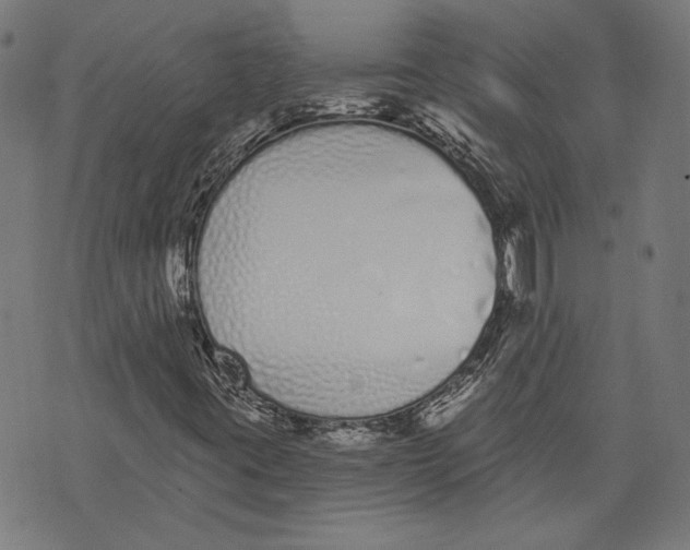 X0000071771395200607211520