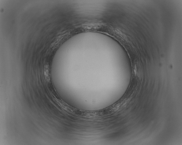 X0000071771396200607211520