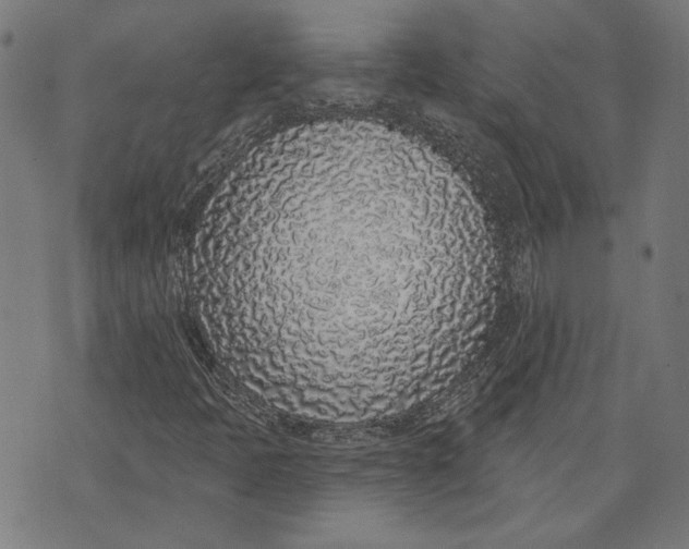 X0000071771397200607211520