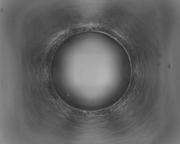 X0000071771398200607211520