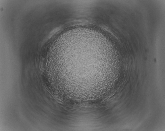 X0000071771399200607211520