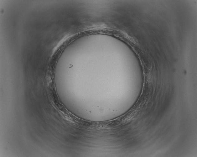 X0000071771400200607211520