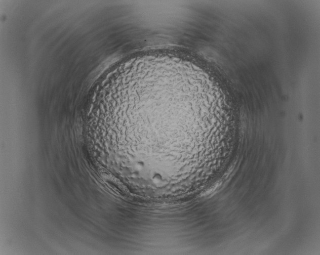 X0000071771401200607211520