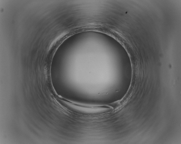 X0000071771402200607211520