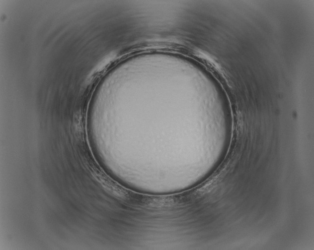 X0000071771403200607211520