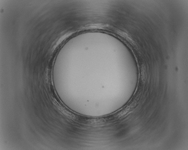 X0000071771404200607211520