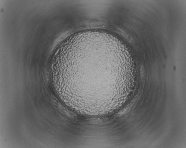 X0000071771405200607211520