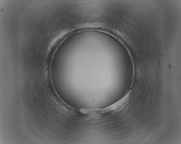 X0000071771406200607211520