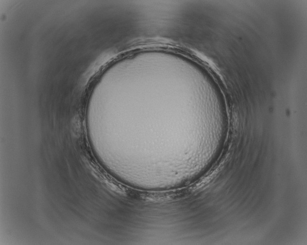 X0000071771407200607211520