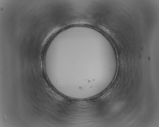 X0000071771408200607211520