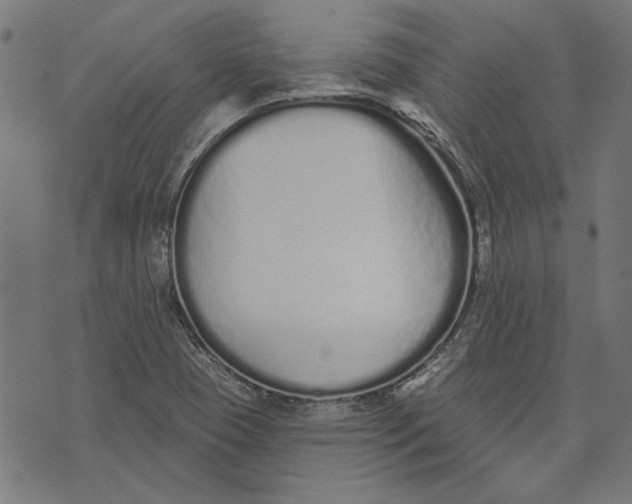 X0000071771409200607211520