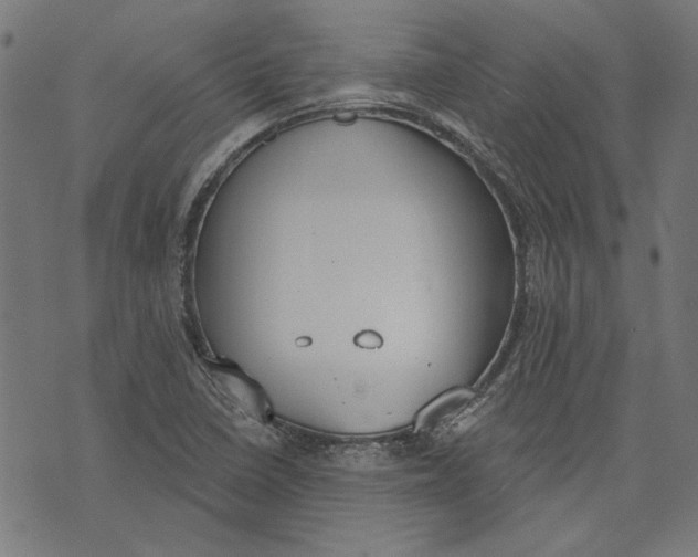 X0000071771410200607211520