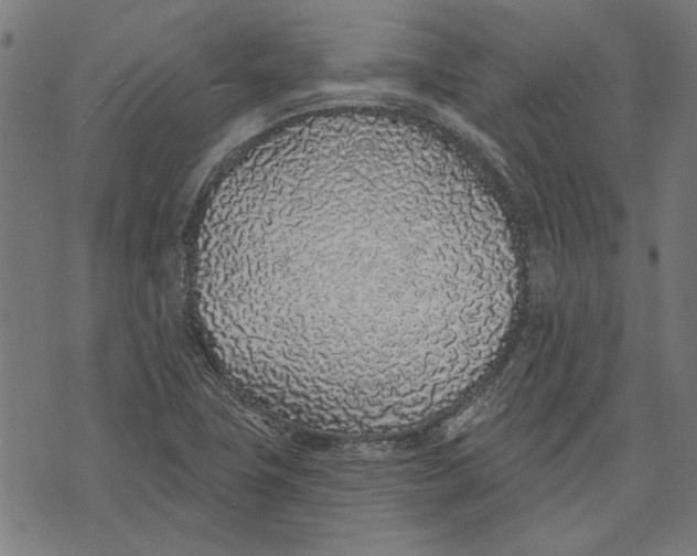 X0000071771411200607211520