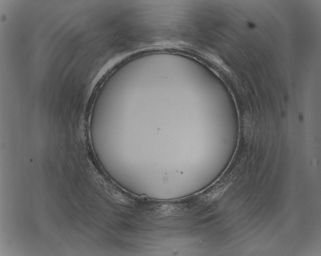 X0000071771412200607211520