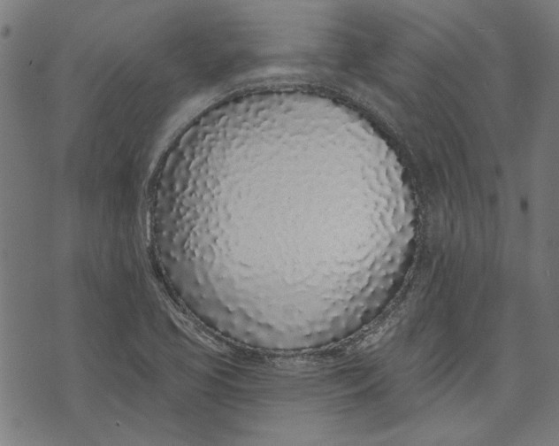 X0000071771413200607211520