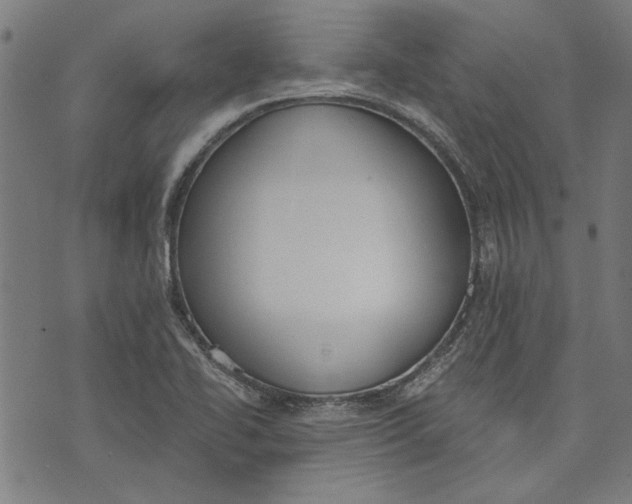 X0000071771414200607211520