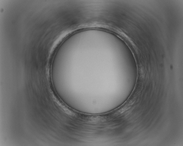 X0000071771416200607211520