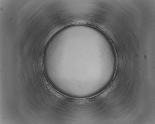 X0000071771417200607211520