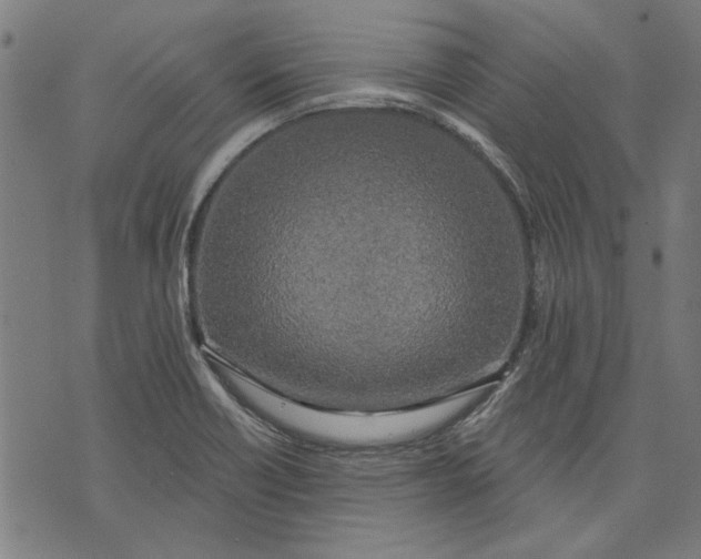 X0000071771418200607211520