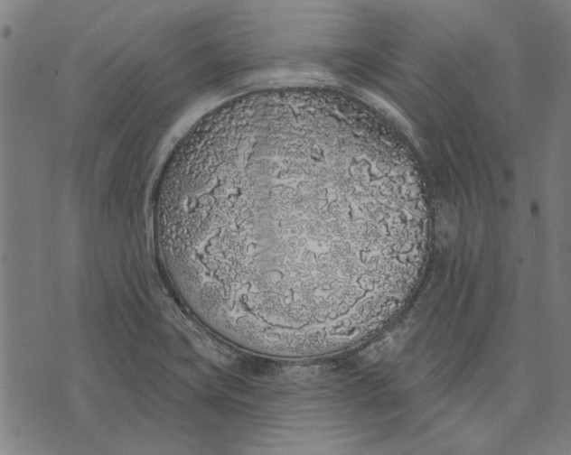 X0000071771419200607211520