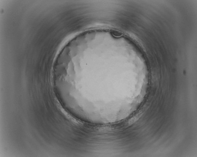 X0000071771421200607211520