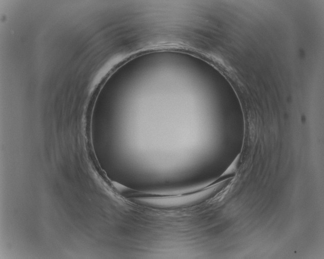 X0000071771422200607211520