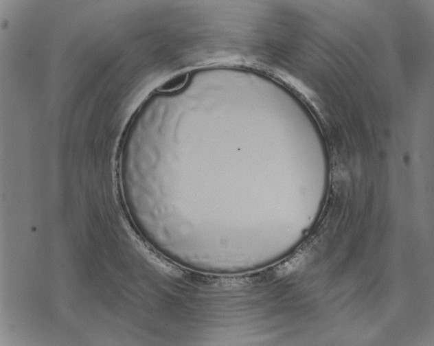 X0000071771423200607211520