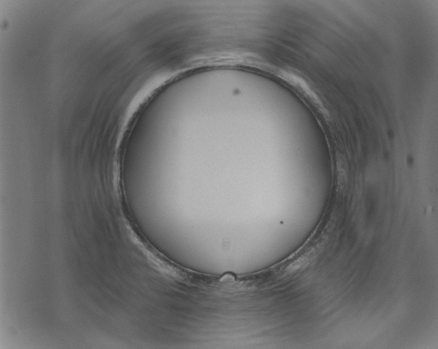 X0000071771424200607211520