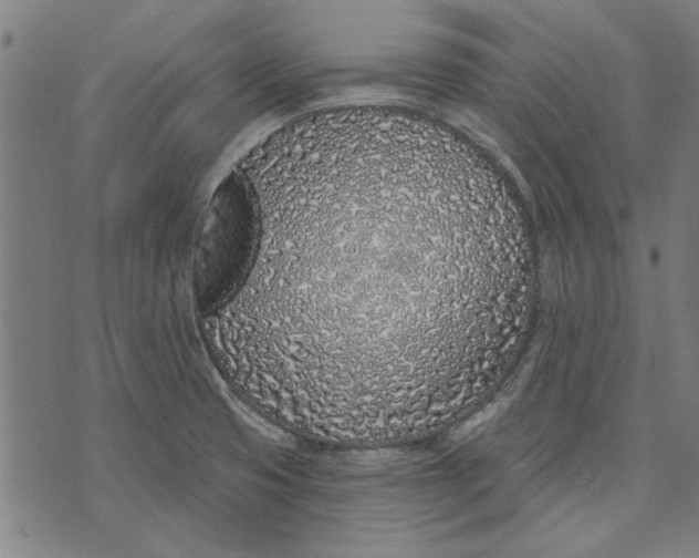 X0000071771425200607211520