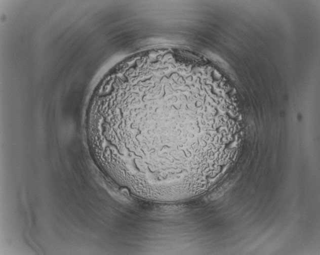 X0000071771427200607211521