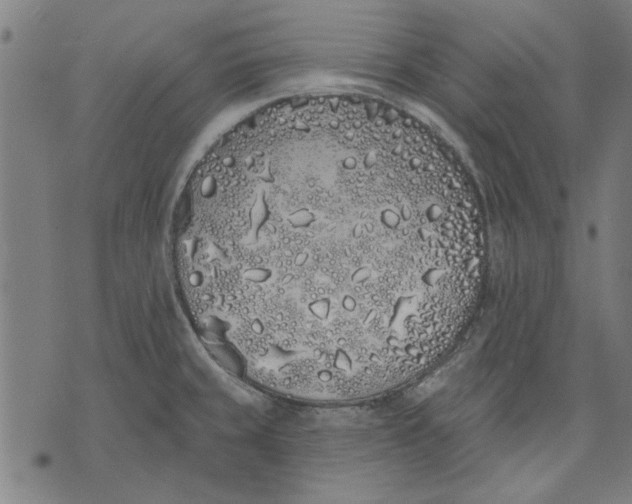 X0000071771429200607211521