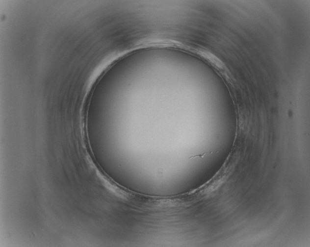 X0000071771430200607211521