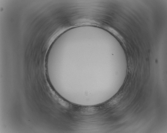 X0000071771431200607211521