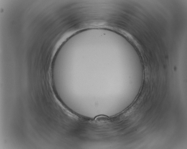 X0000071771432200607211521