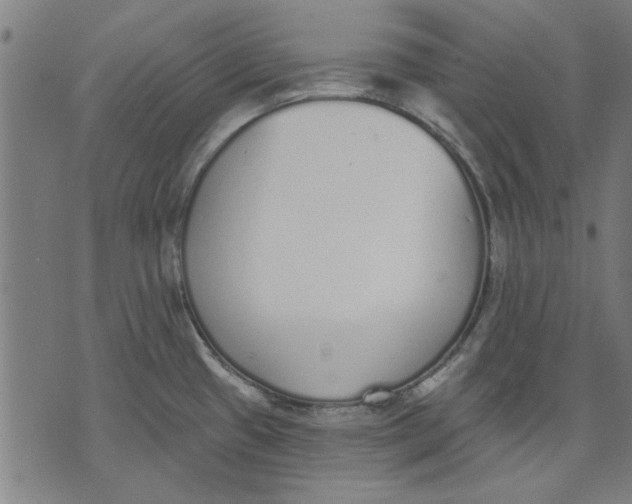 X0000071771433200607211521