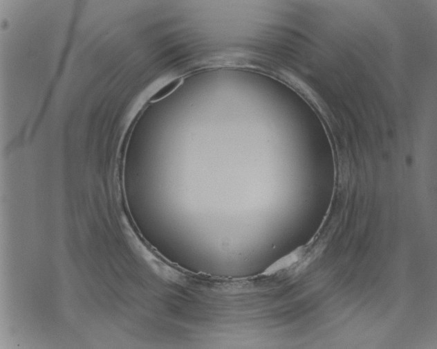 X0000071771434200607211521