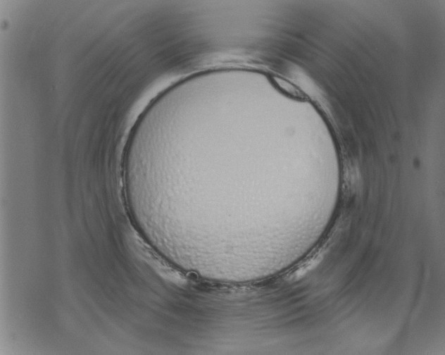 X0000071771435200607211521