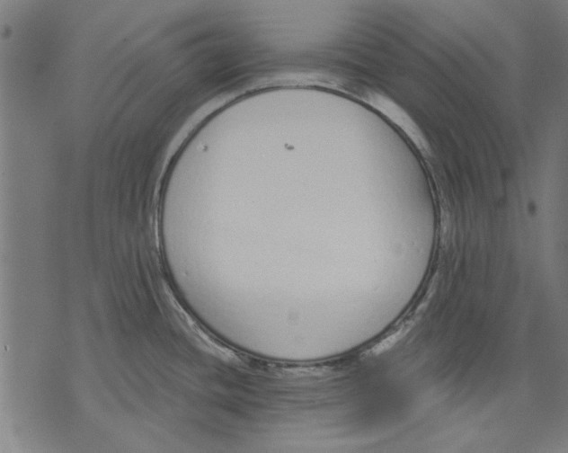 X0000071771436200607211521