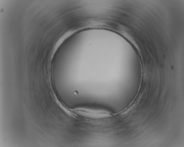 X0000071771437200607211521