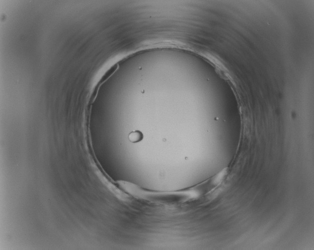 X0000071771438200607211521