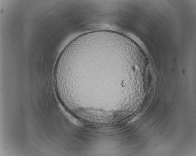 X0000071771439200607211521